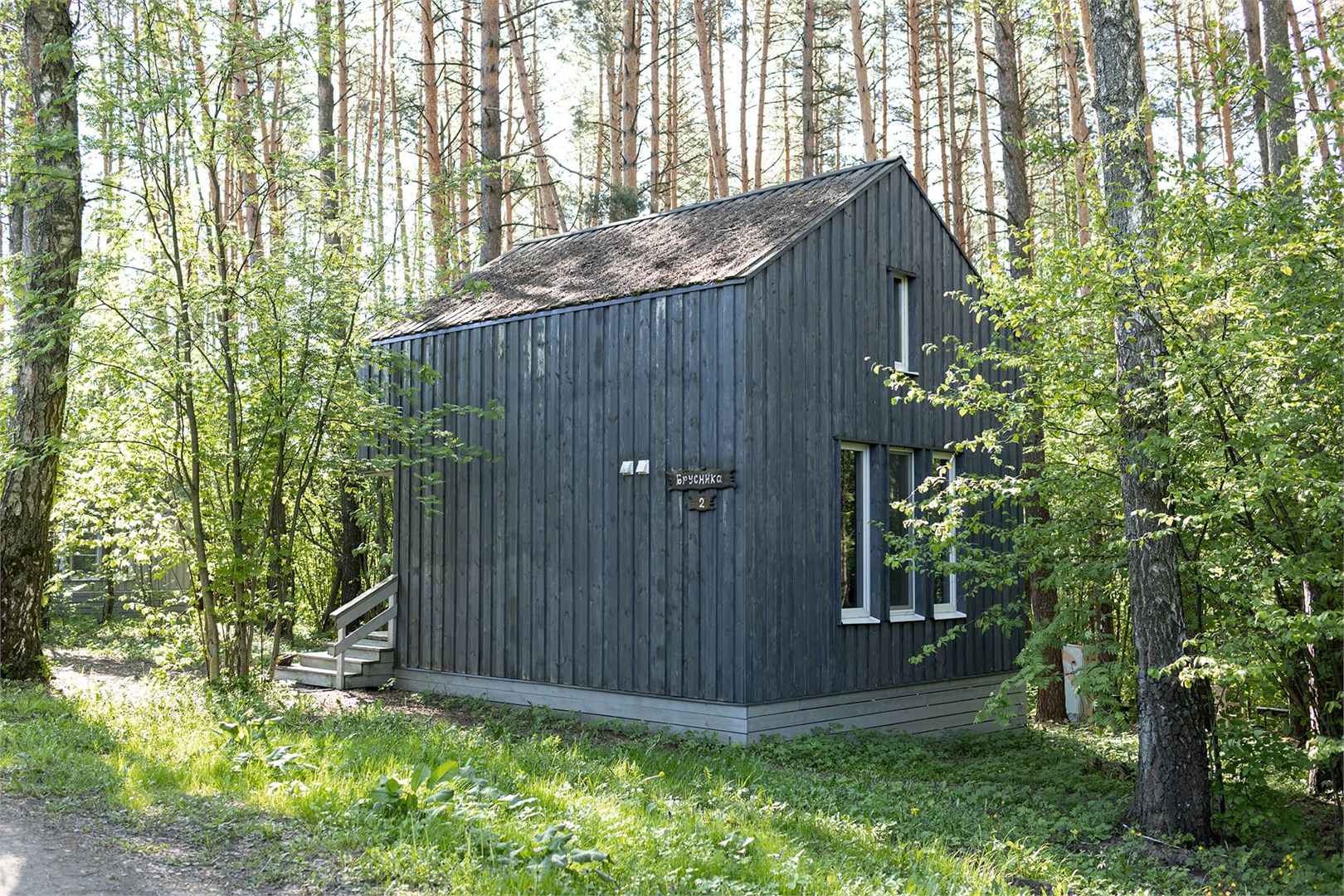 Брусника в Скрытово. Дачи