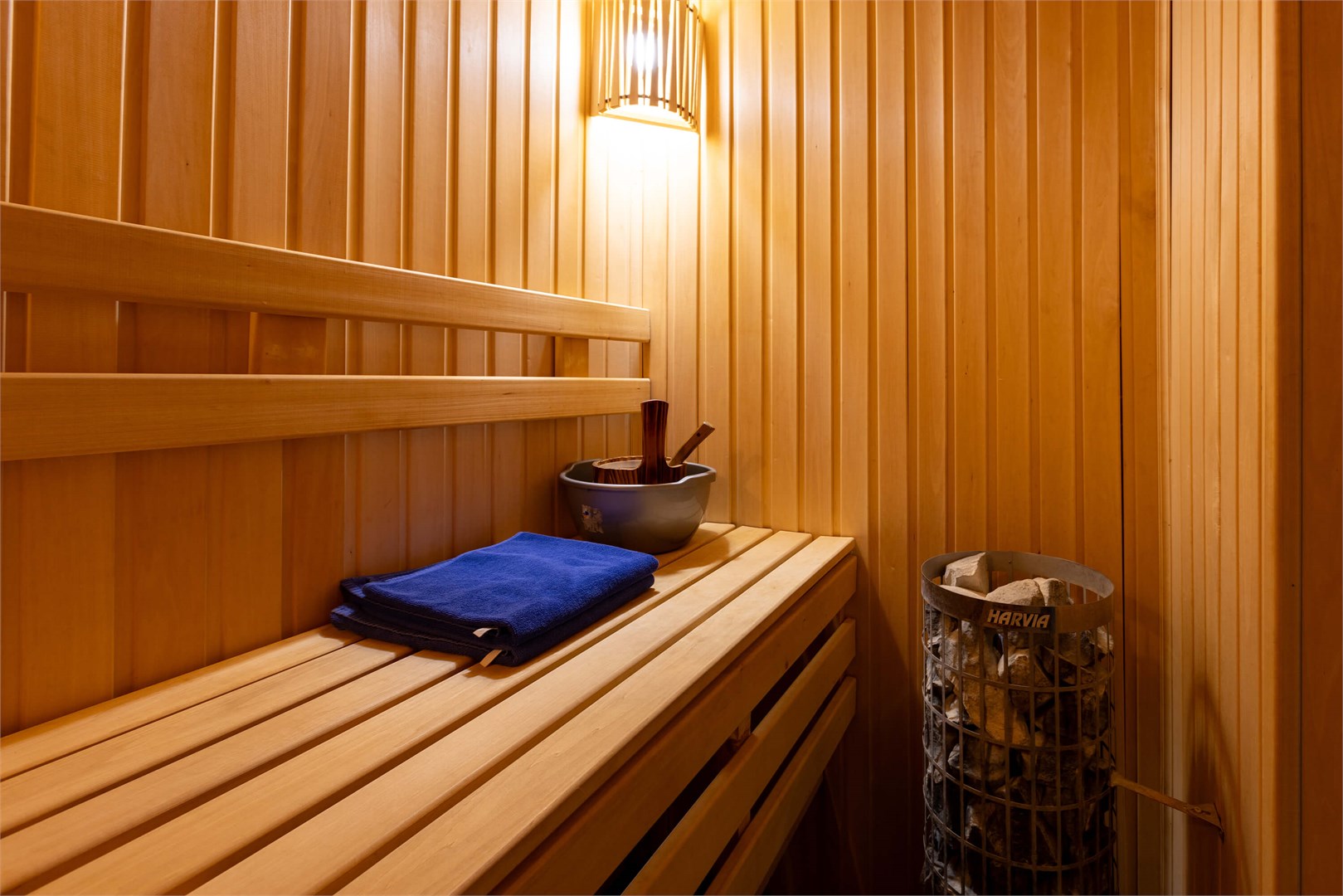 Брусника в Скрытово. Дачи