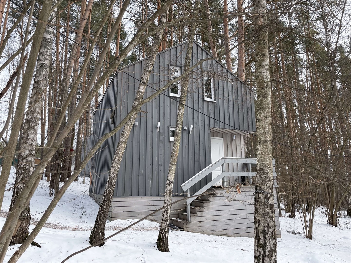 Морошка в Скрытово. Дачи