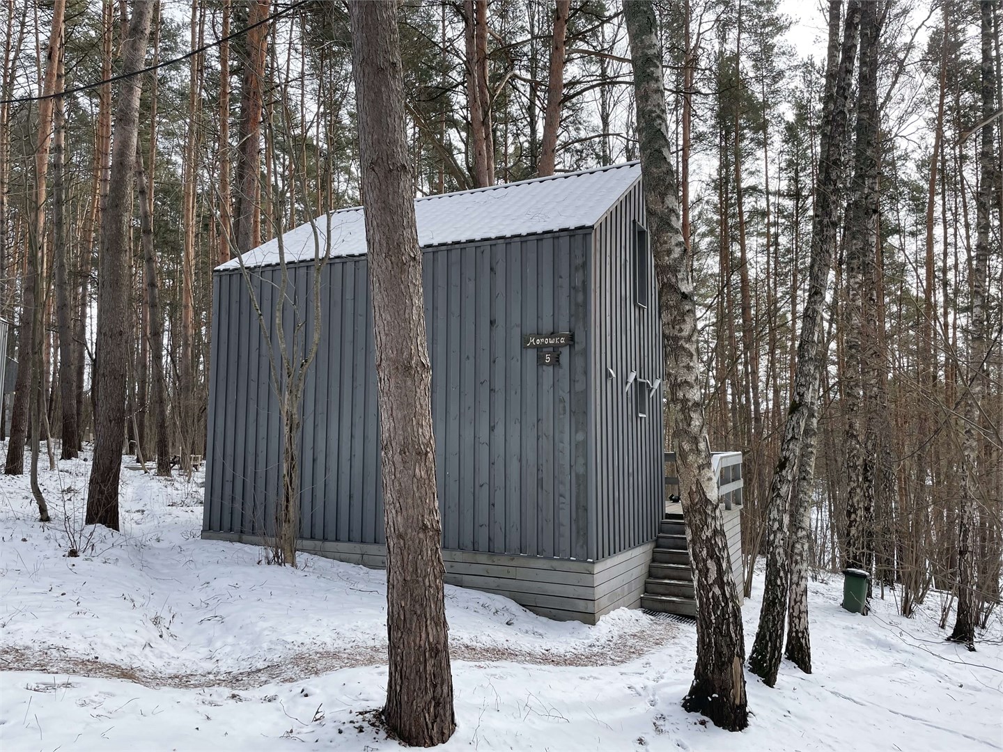 Морошка в Скрытово. Дачи