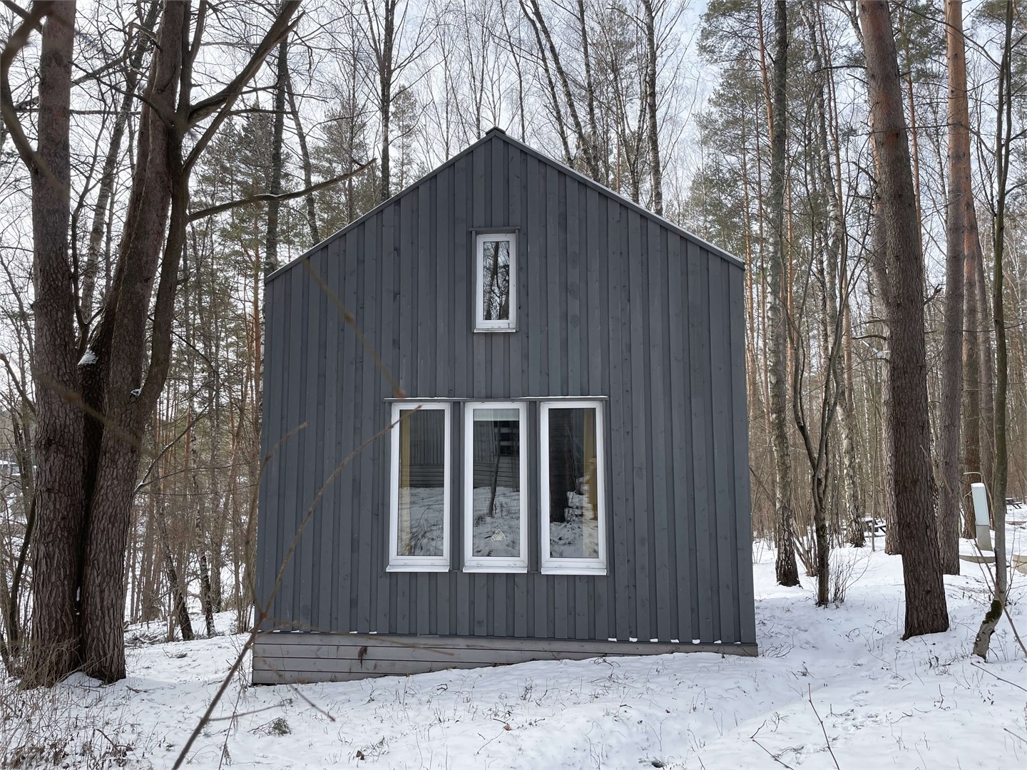 Морошка в Скрытово. Дачи