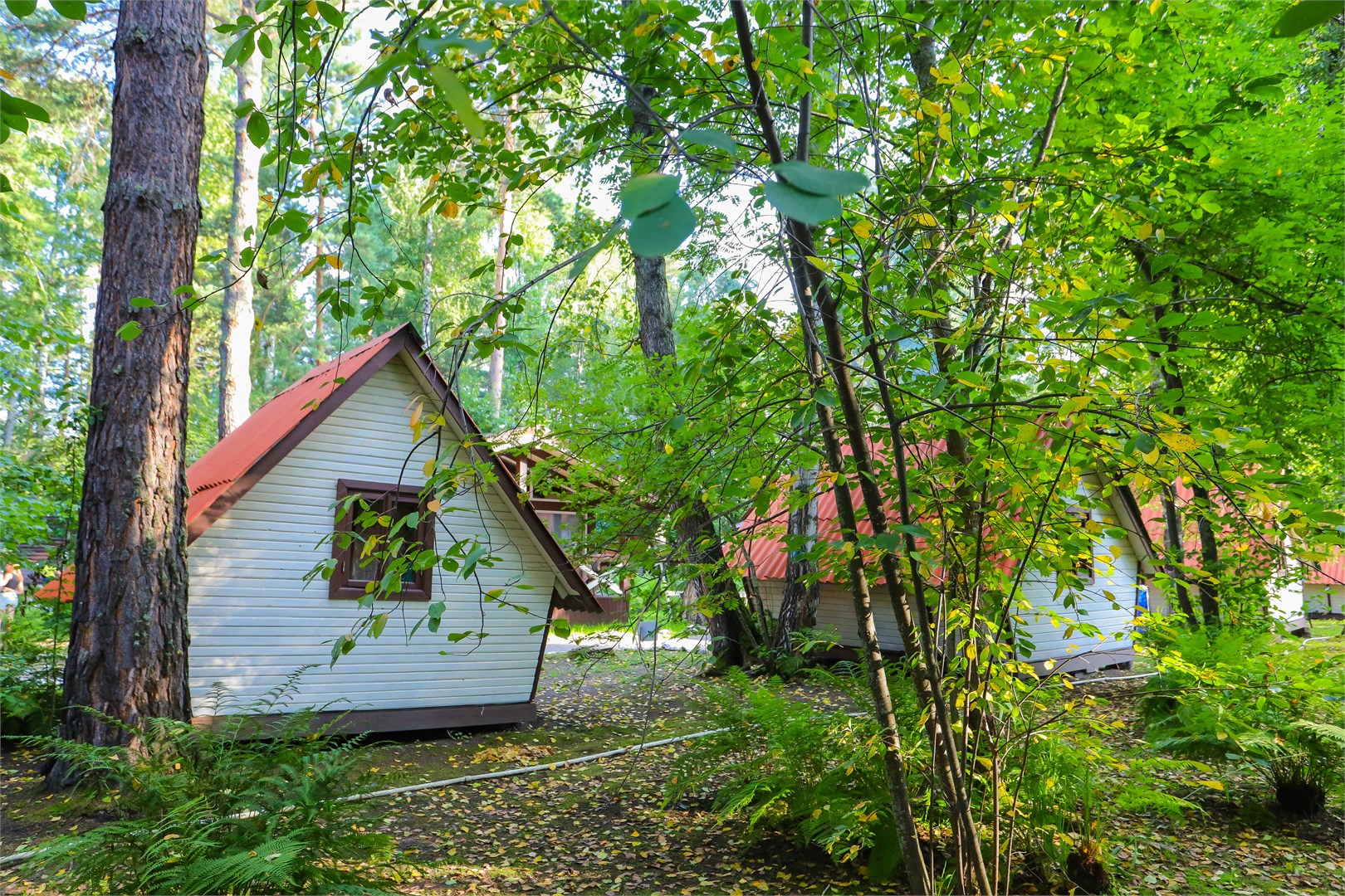 ЛД (Летний домик) в Алтан