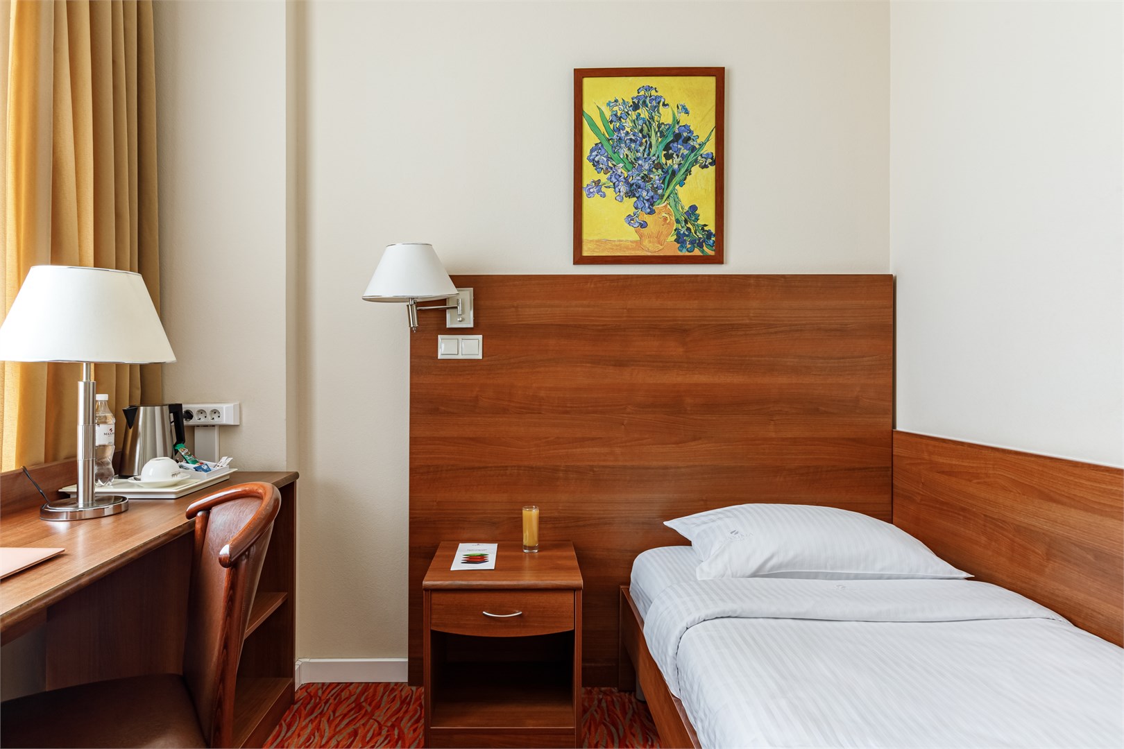 Стандарт  одноместный в Максима Панорама