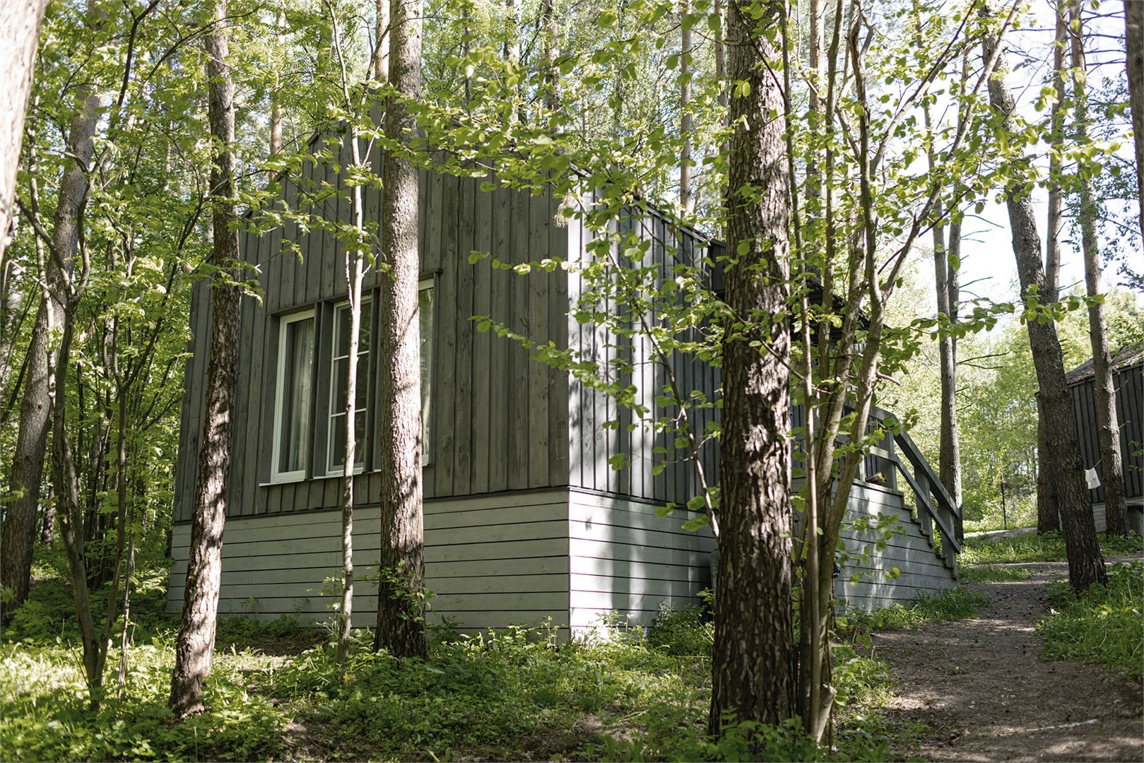 Малина с антресолью в Скрытово. Дачи