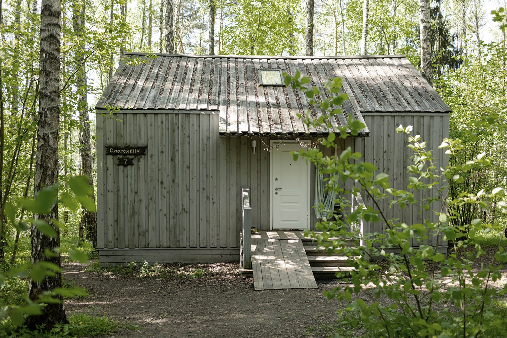 Смородина дабл в Скрытово. Дачи