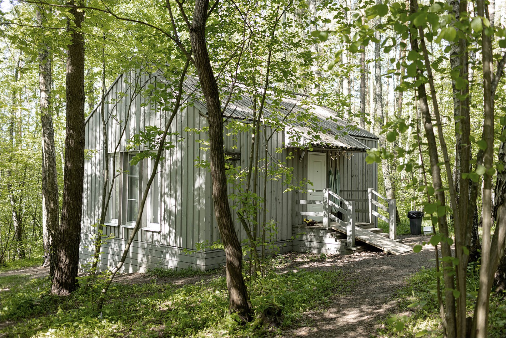 Смородина дабл в Скрытово. Дачи