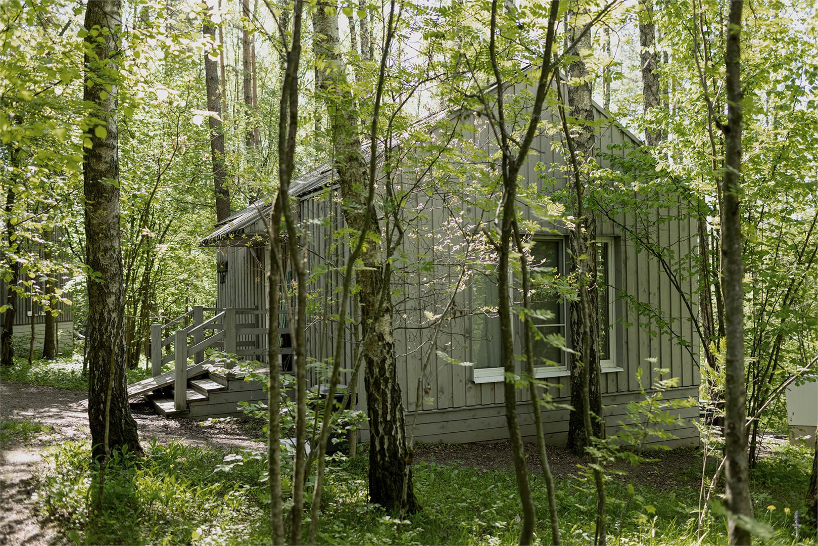 Смородина с антресолью в Скрытово. Дачи