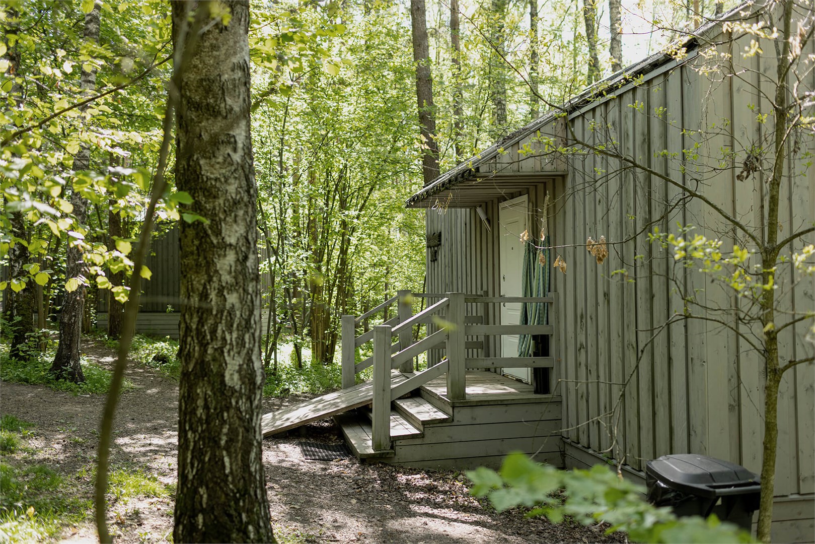 Смородина с антресолью в Скрытово. Дачи