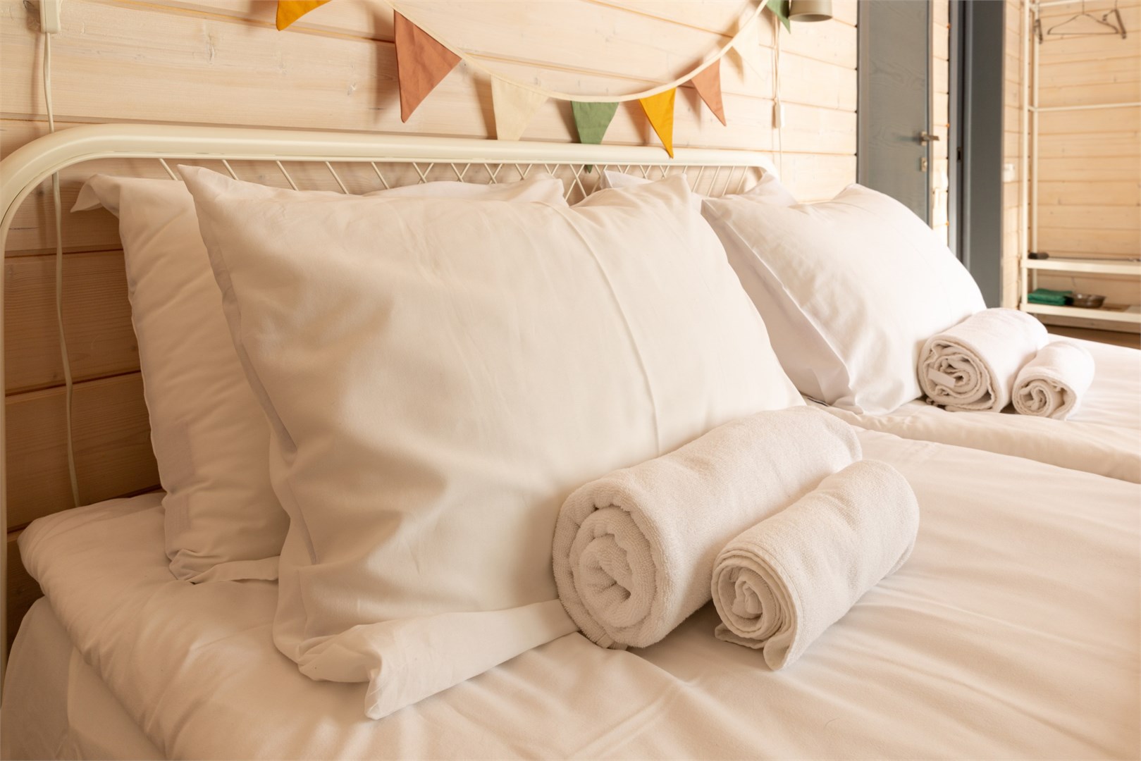 Ежевика дабл в Скрытово. Дачи