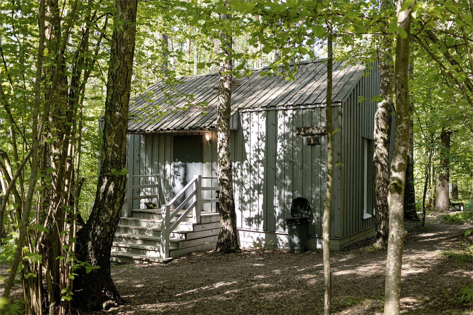 Ежевика дабл в Скрытово. Дачи