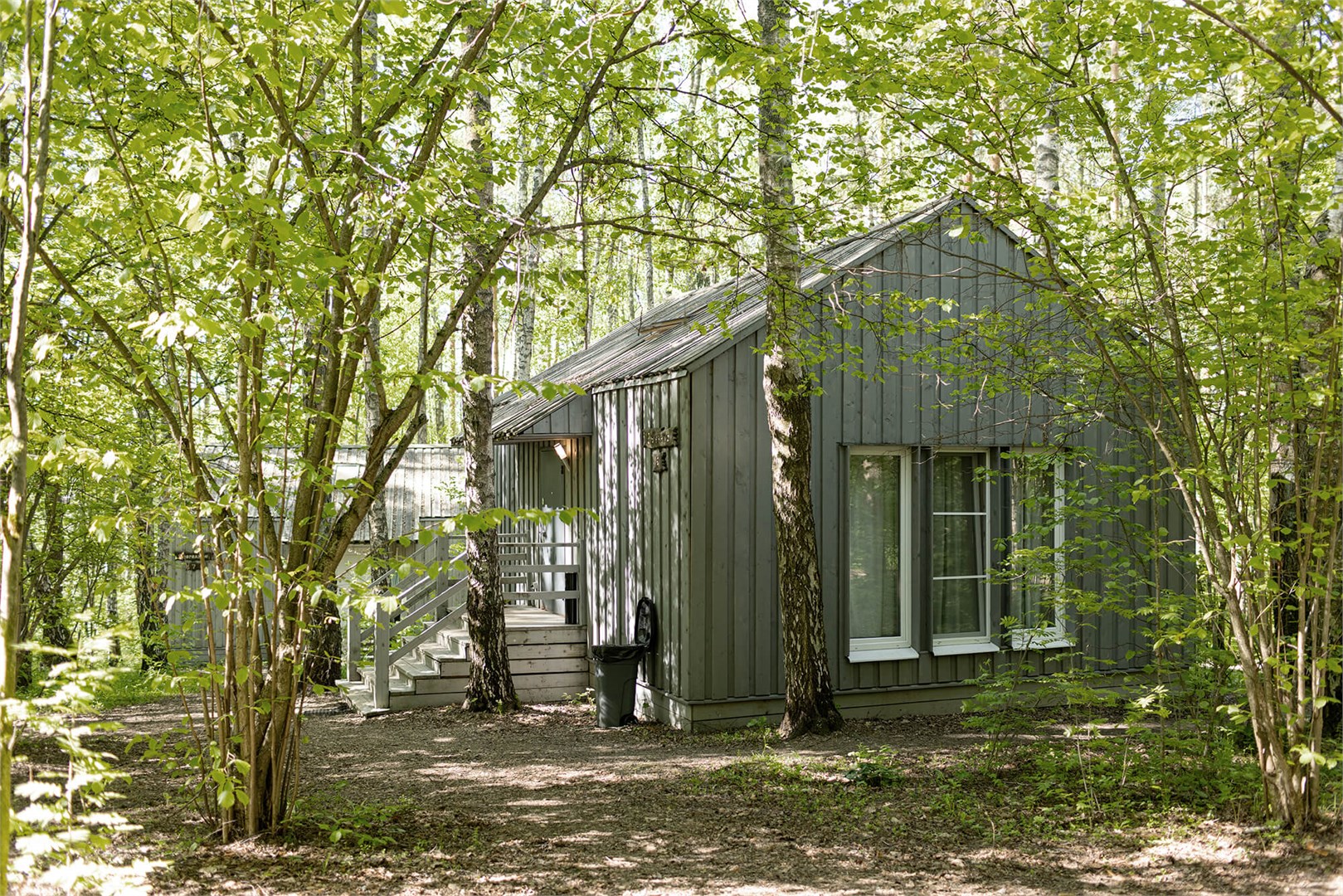 Ежевика дабл в Скрытово. Дачи