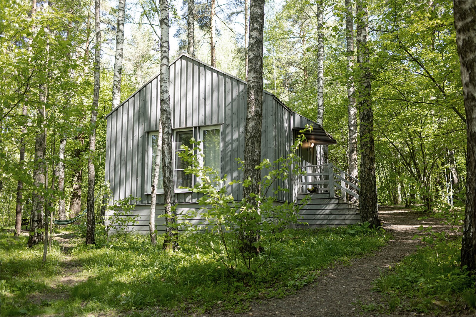 Ежевика дабл в Скрытово. Дачи