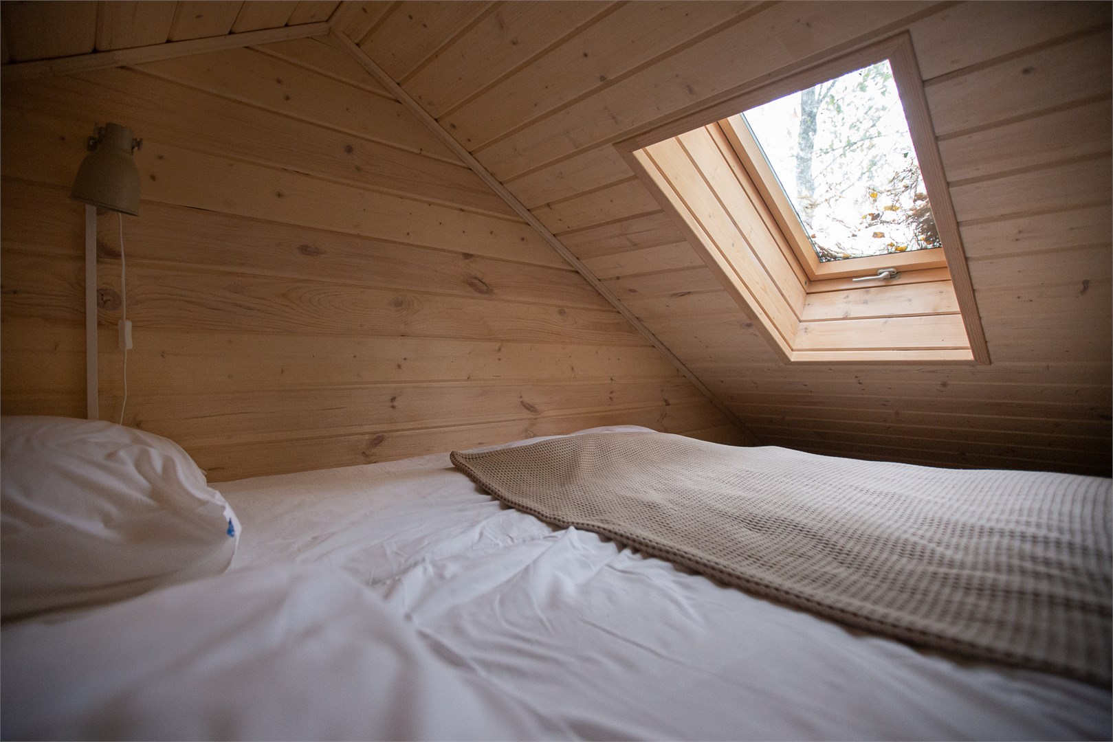 Ежевика с антресолью в Скрытово. Дачи