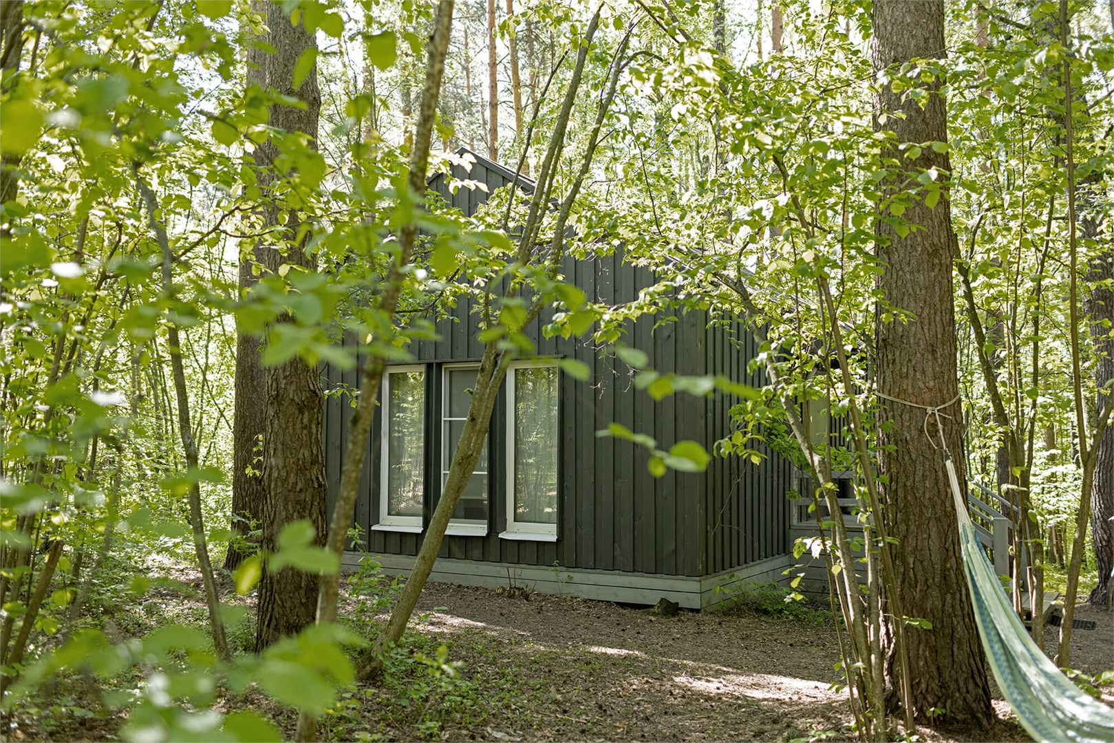 Голубика дабл в Скрытово. Дачи