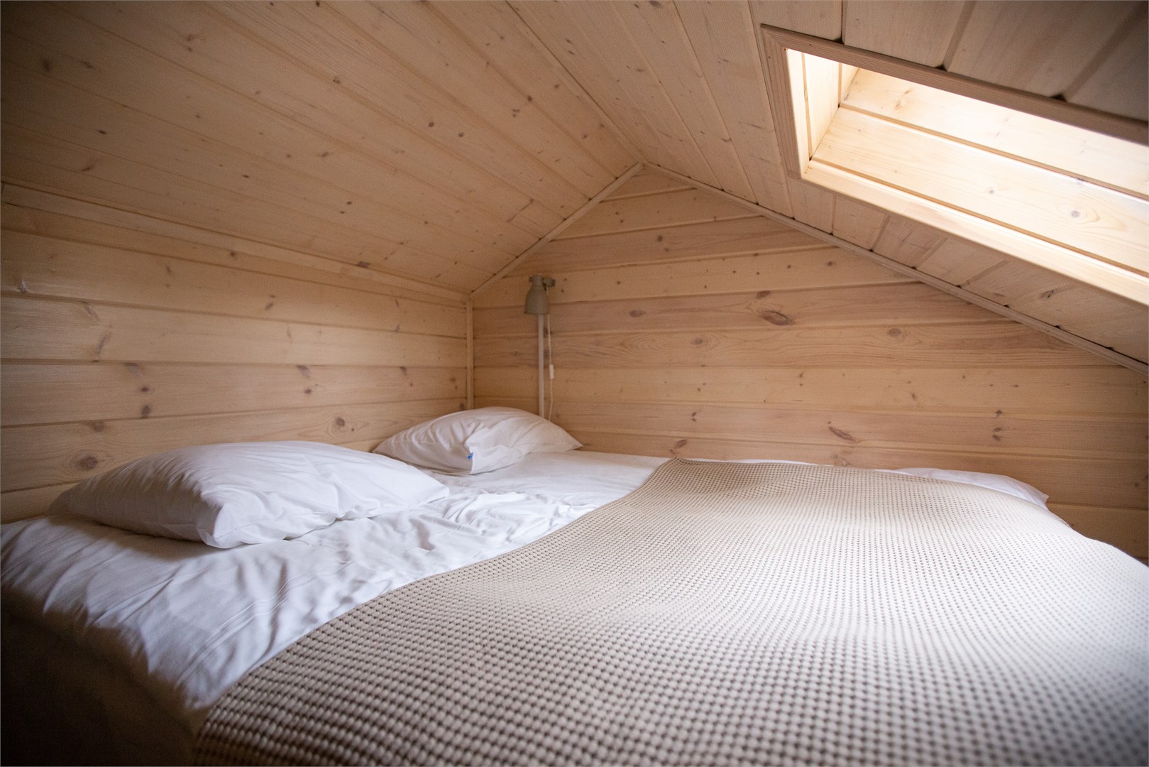 Голубика с антресолью в Скрытово. Дачи