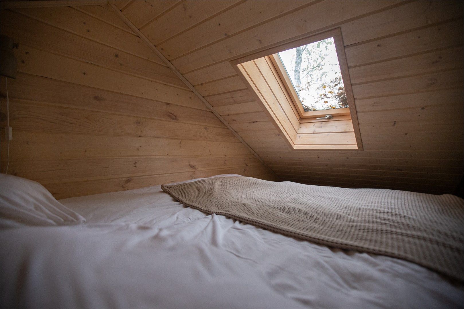 Голубика с антресолью в Скрытово. Дачи