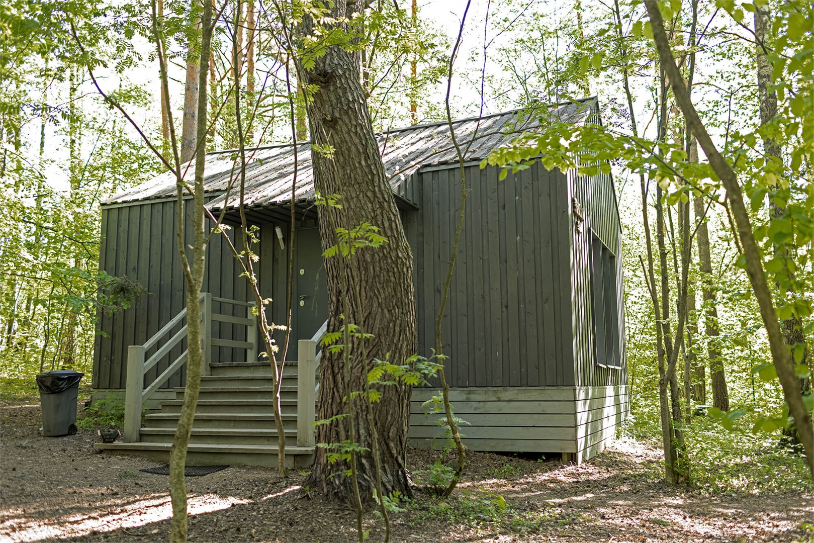 Голубика с антресолью в Скрытово. Дачи
