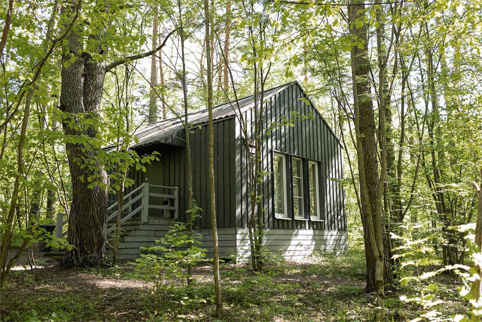 Голубика с антресолью в Скрытово. Дачи