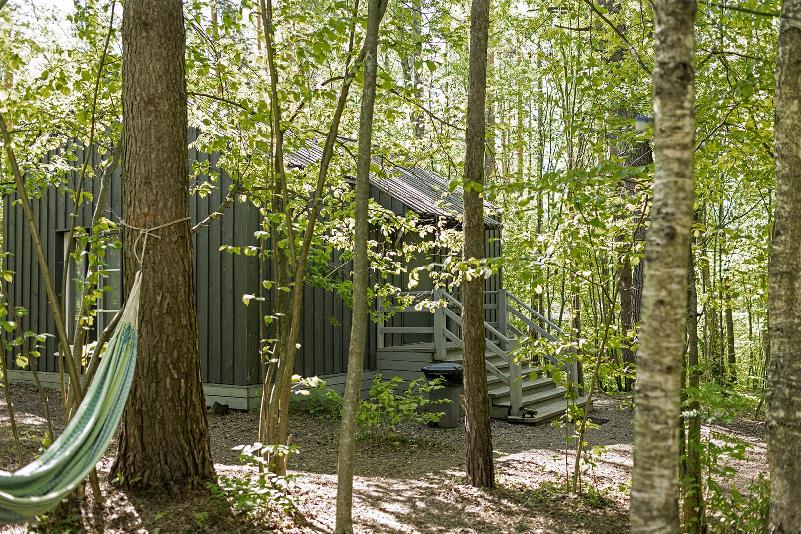 Голубика с антресолью в Скрытово. Дачи